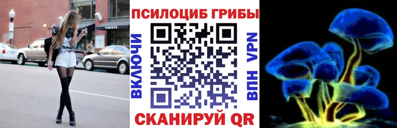 купить наркотик  hydra зеркало  Галлюциногенные грибы Magic Shrooms  Мытищи 